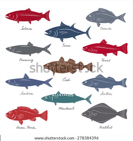 Big collection of marketable fish symbols. Vector set. Royalty-Free Stock Photo #278384396