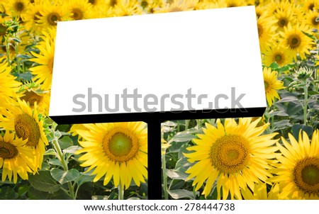 Blank billboard with sun flower background.