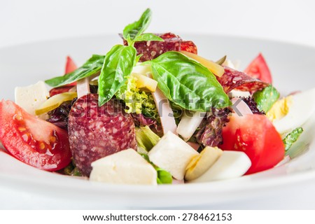 Isolated Delicious Salad with salami, strips of ham, cheese, tomatoes, eggs, pickled cucumber slices, mix lettuce, decorated with a sprig of basil on a white plate