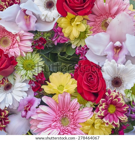 a wreath of colorful flowers, natural background