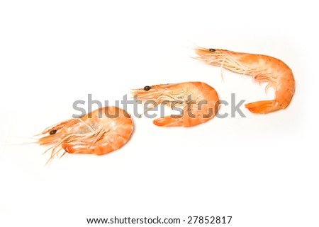 Crevettes, cooked prawns (shrimp) isolated on a white studio background
