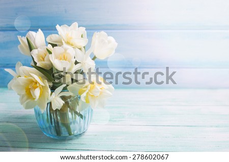 Bright white daffodils and tulips  flowers in blue vase  in ray of light on turquoise  painted wooden planks against blue wall. Selective focus. Place for text. 
