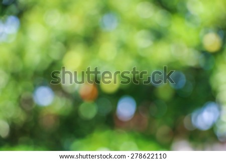 Bokeh Background & Abstract Background