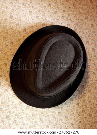 Royalty Free Photograph - My Classic Brown Felt Fedora Hat hanging on the Hallway Wall at Home