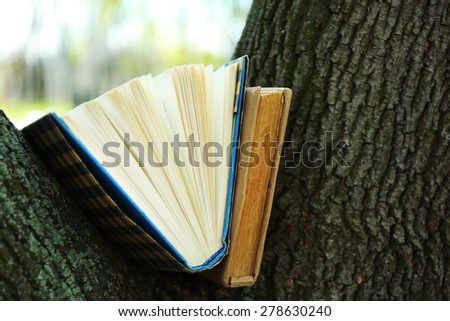 Books on tree, close-up