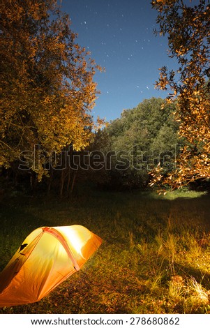 illuminated one person tent in the woods of Etna Park under starry blue sky, Sicily