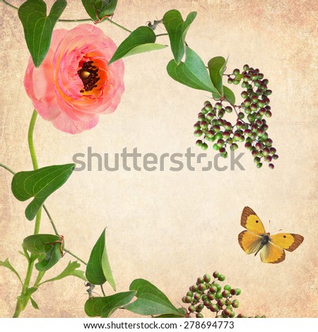 Textured old paper background  with beautiful flower of buttercup (Ranuculus asiaticus)and curling plant 