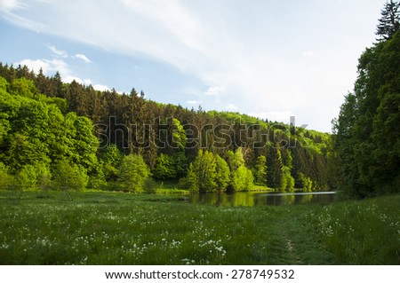 Summer lake near the forest.