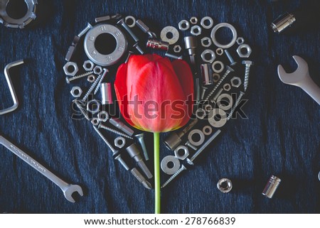 Red tulip surrounded byheartvmade of nuts and tools