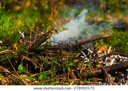 Small campfire on green meadow in forest