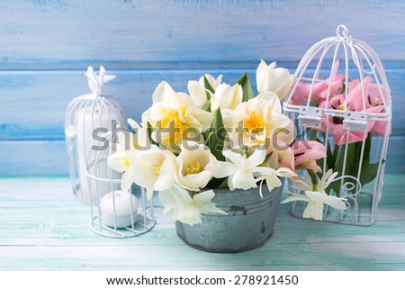 Bright white daffodils and tulips  flowers in bucket, candles on turquoise  painted wooden planks against  blue wall. Selective focus. 