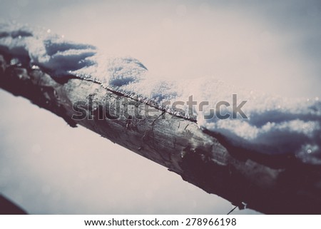 Colour picture of snow on a wooden fence