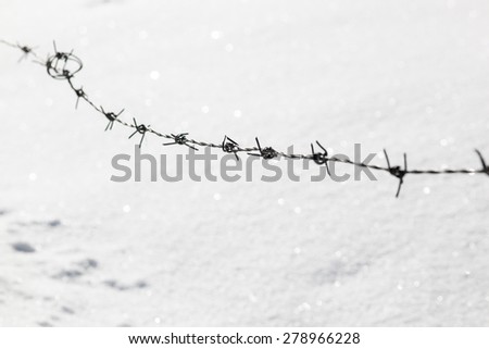 Colour picture of a barbed wire line