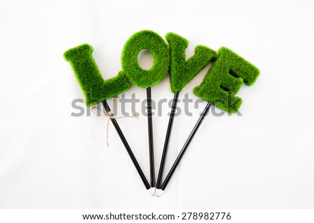 Love wording head pencil on white background