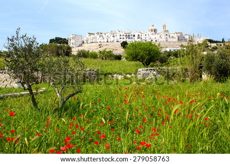 Spring view of the Locorotondo town in Puglia (southern Italy) with poppies field on the foreground. Locorotondo is one of the famous tourist attraction in Apulia.