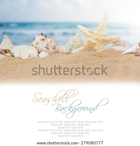 Photo of seashells with sand, ocean and white space for text