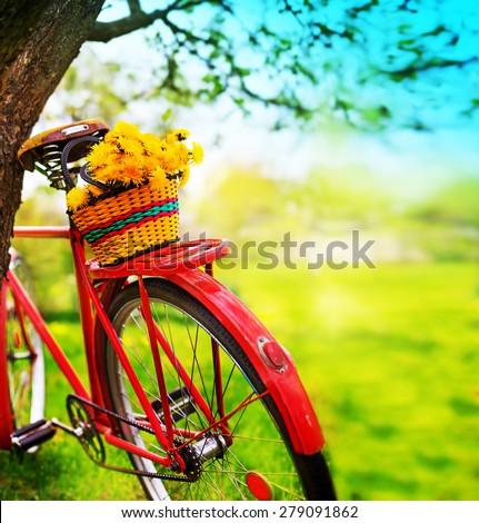 Vintage Bicycle with flowers on summer landscape background  (toned picture)  
