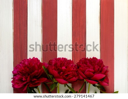 Three burgundy peonies  on striped wooden surface
