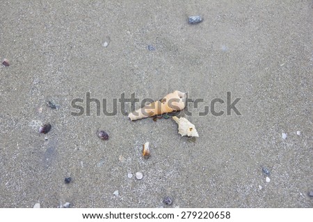 Texture background of the sandy beach with natural arrangement, focus on shell