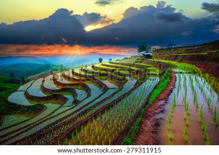 Terraced Paddy Field in Mae-Jam Village , Chaingmai Province , Thailand Royalty-Free Stock Photo #279311915