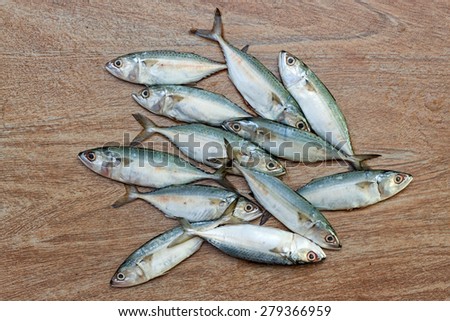 Fresh tuna ready for cooking on wooden background top view 1