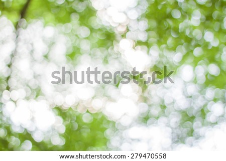 abstract green boke background