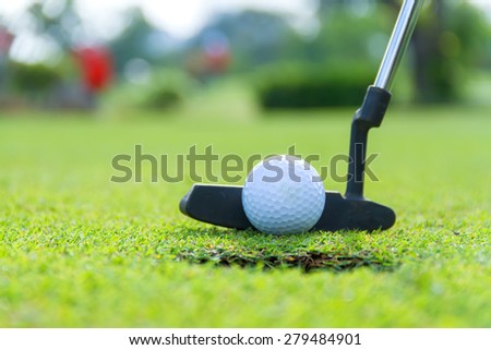 Wood golf with a golf ball on the green grass.