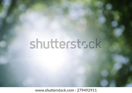 blur light nature ,from tree background