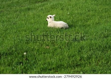 One cute sheep lying on the lush fresh green grass on bright natural background copyspace, horizontal picture