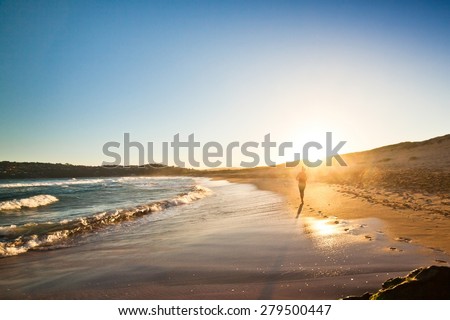 Palm beach in New South Wales, Australia