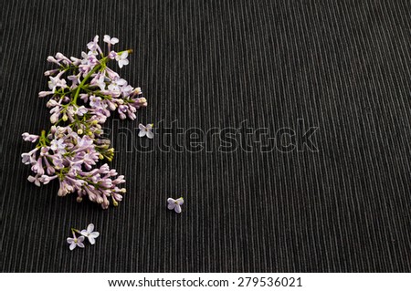 Background with lilac flowers on black fabric.