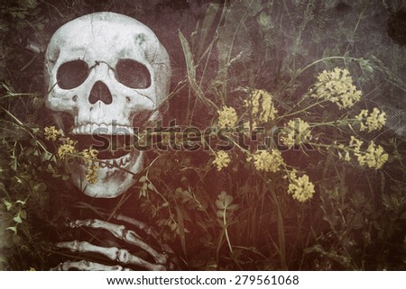 Skeleton in the Grass 7. Human skeletal bone remains among the grass, weeds and dandelions of a field meadow. Edited with a vintage film effect.