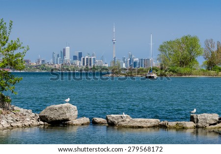 Toronto skyline, sailboat and seagulls
