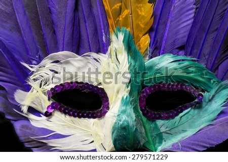 Colorful Mardi Gras Mask