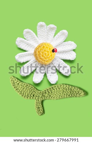 crochet daisy with a ladybird on green background