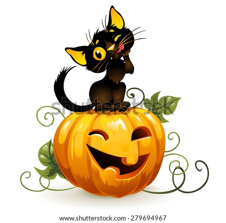 Black cat on Halloween pumpkin. Isolated background.