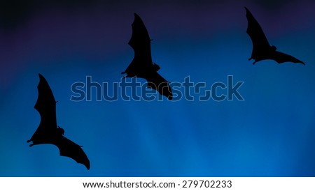 Bat silhouettes flying in the sky - Halloween festival