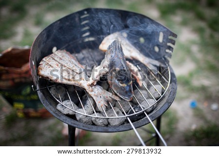 Colour picture of fish on a grill