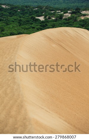 Sand texture at Mui Ne, Phan Thiet , Binh Thuan province, Vietnam. Phan Thiet has the biggest and famous sand hills