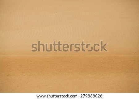 Sand texture at Mui Ne, Phan Thiet , Binh Thuan province, Vietnam. Phan Thiet has the biggest and famous sand hills