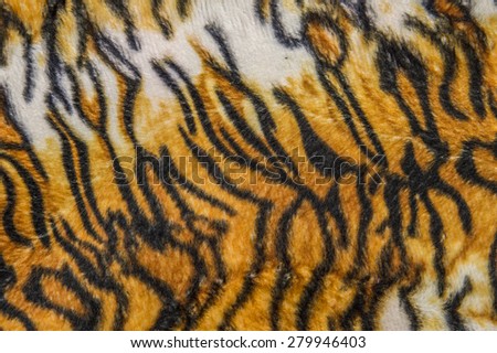 Tiger texture skin background