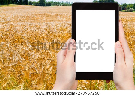 travel concept - tourist photograph yellow wheat field in Poland on tablet pc with cut out screen with blank place for advertising logo