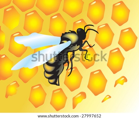 vector illustration with bees and honey