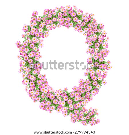 Letter Q alphabet with zinnia flower ABC concept type as logo. Typography design