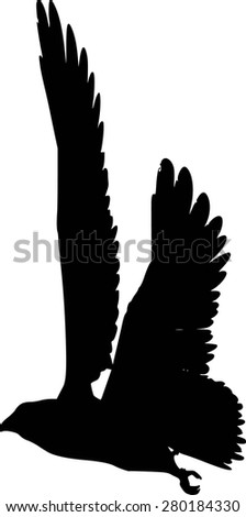 Vector Eagle Poses Silhouette
