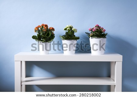 white table with three green flowers on a blue background