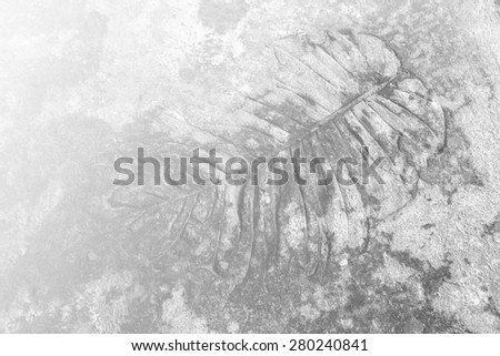 cement texture - wall floor surface rough grunge border concrete gray background