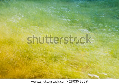 Abstract blur nature background template