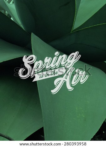 spring is in the air typography /nature
