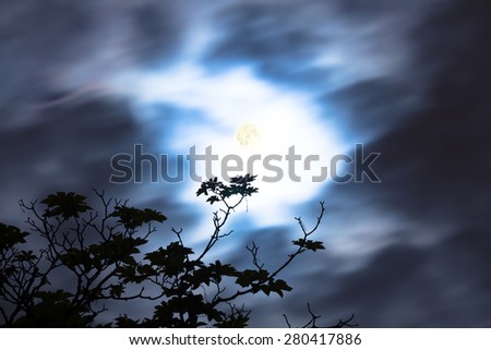 Moon with silhouette of a tree on a cloudy skies. Not an illustration.